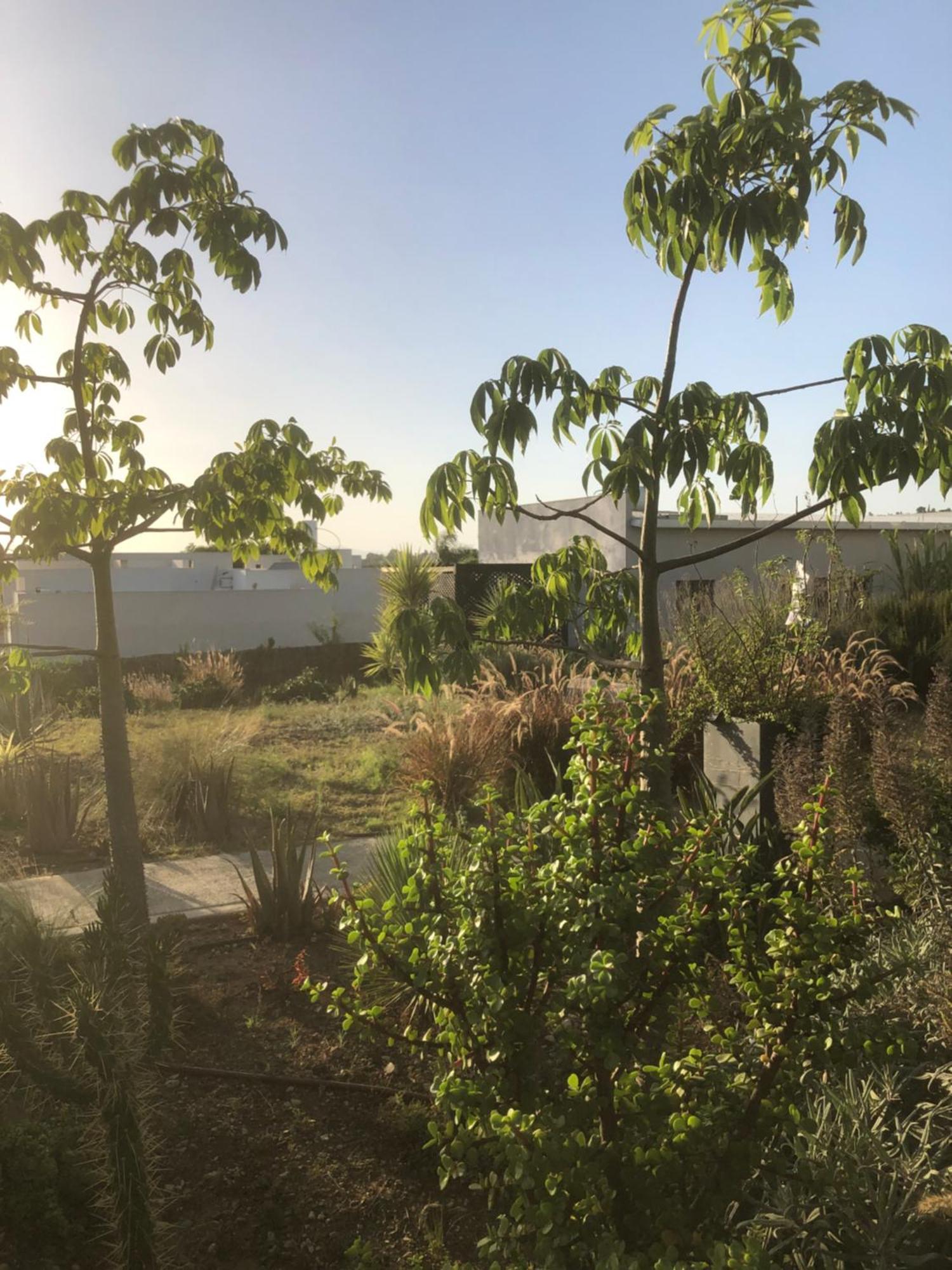 Kineret View Apartment Neot Golan Exterior foto
