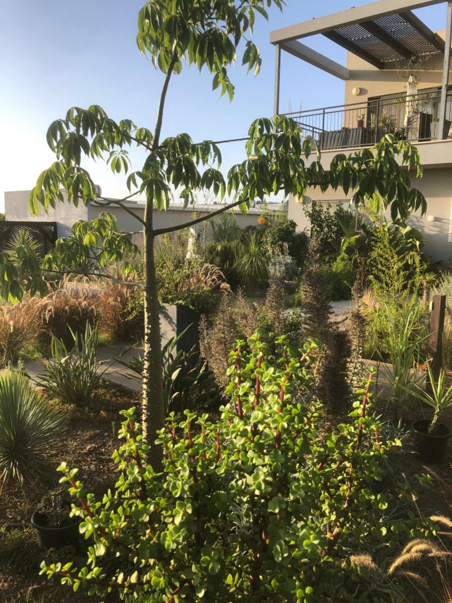 Kineret View Apartment Neot Golan Exterior foto